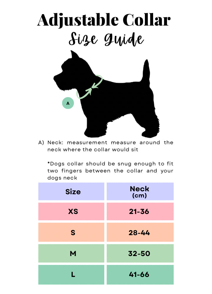 Lemon Spritz - Collar