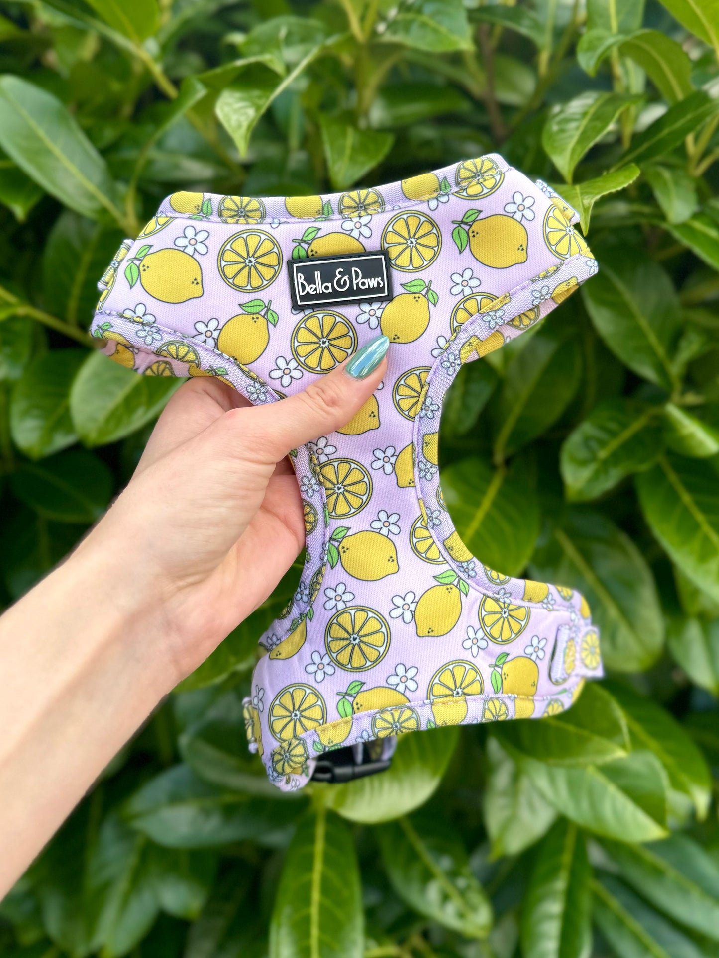 Lemon Spritz - Adjustable Harness