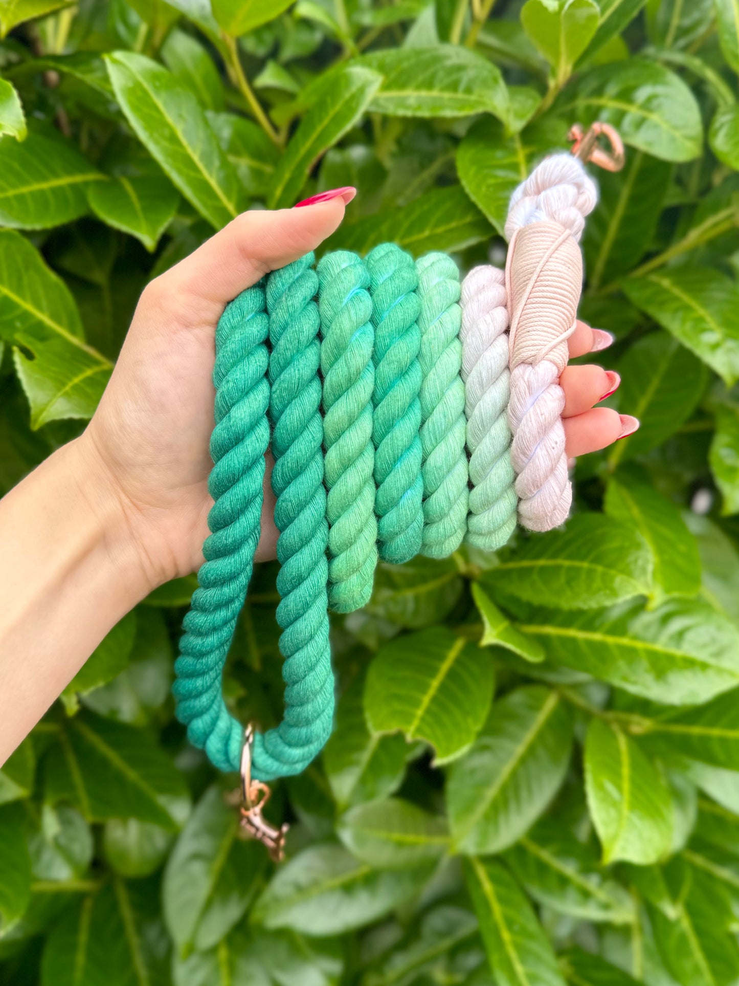 Matcha - Rope Lead