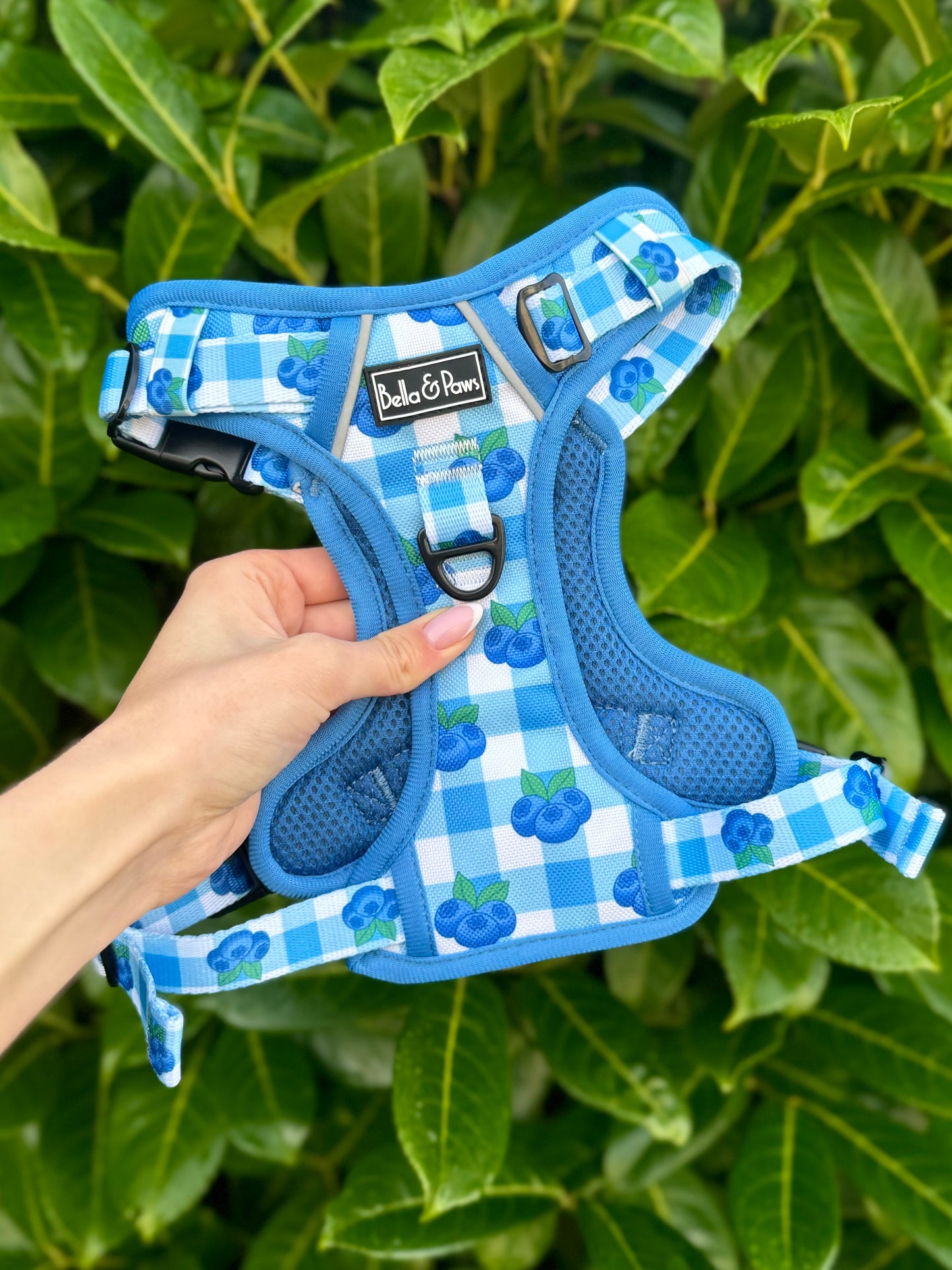 Blueberry Dream - Tough Trek Harness