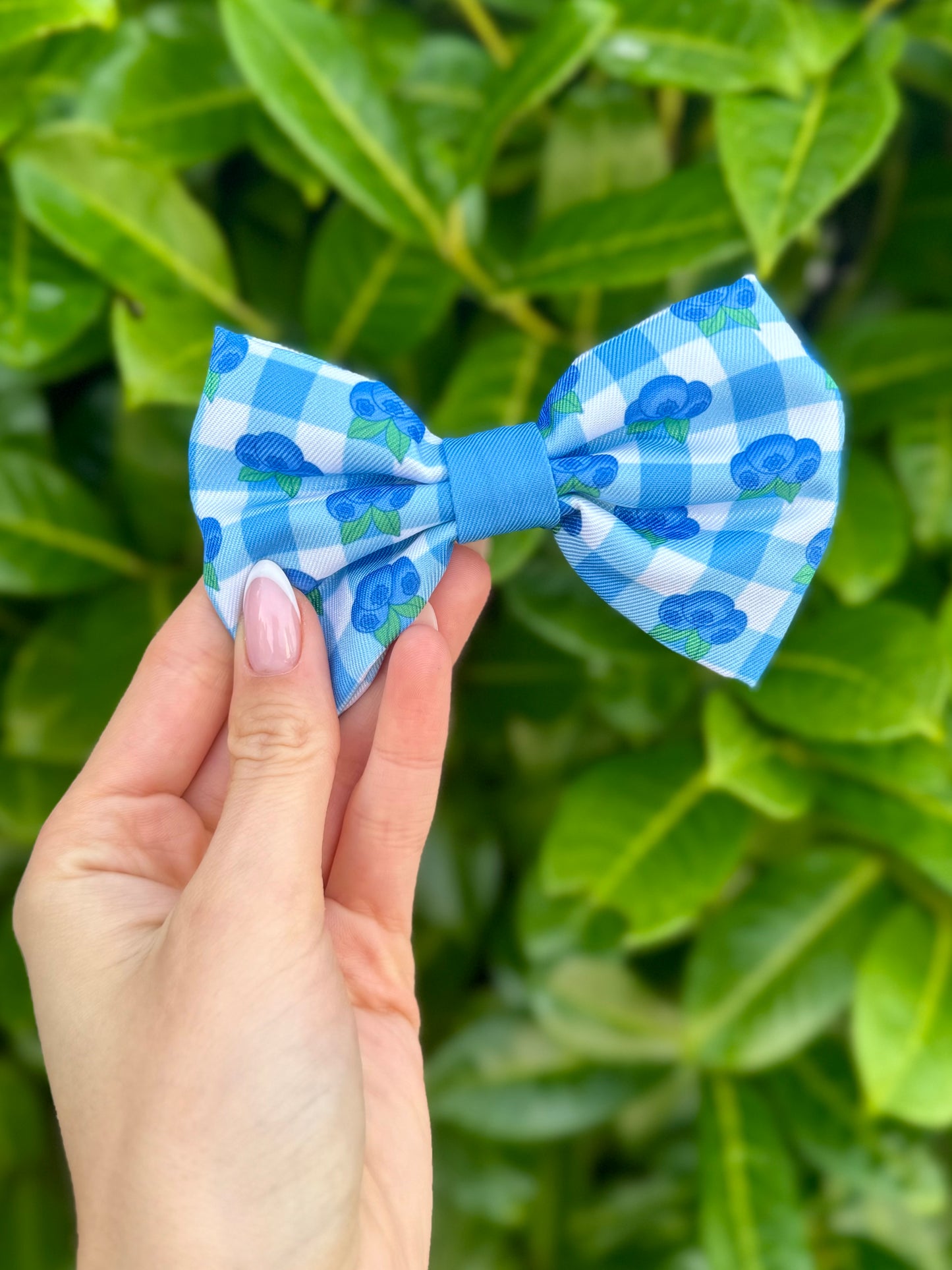 Blueberry Dream - Bow Tie